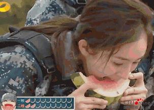 沈阳吃瓜秒男,一场网络热议的校园风波