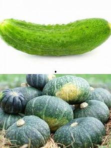 立夏吃的瓜还是立秋吃瓜