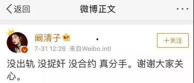 只吃瓜不谈感情,揭秘娱乐圈的“吃瓜”真相