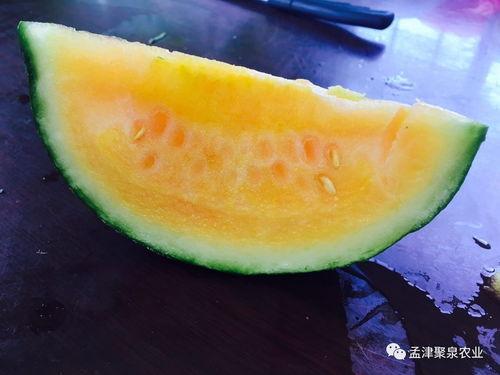 聚水潭吃瓜,揭秘网络热点的背后故事