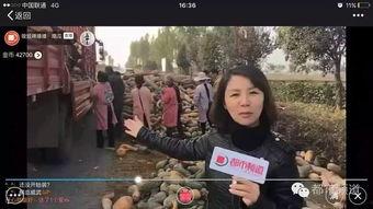 大姐吃瓜事件,揭秘网络舆论的狂欢与反思