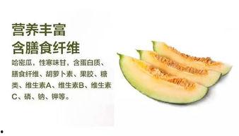 哈密吃瓜剥皮,一场别开生面的剥皮之旅