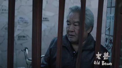 老杨吃瓜专业户,揭秘娱乐圈幕后故事