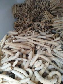 面瓜能晒干吃吗