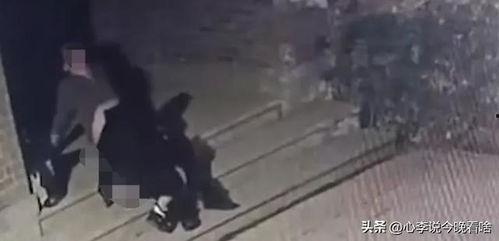 摸鱼打架吃瓜视频,揭秘网络视频的另类魅力