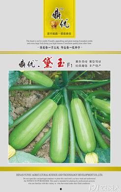 西葫芦瓜咋样吃,探索美味与营养的完美结合