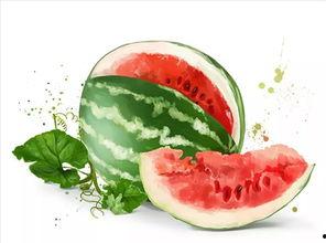 美食广场情侣吃瓜,美食广场情侣共享悠闲时光