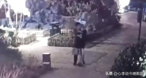 漫展原视频完整吃瓜,一场原视频的完整吃瓜盛宴