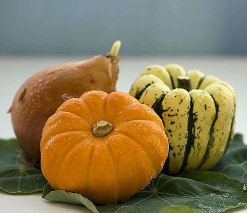 瓜吃南瓜,瓜中珍品，美味无限