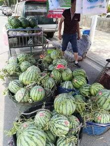 遵义理性吃瓜事件