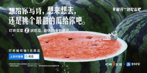 串门吃瓜文案,一场别开生面的吃瓜盛宴