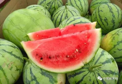 吃瓜拆家,揭秘娱乐圈背后的真相与内幕