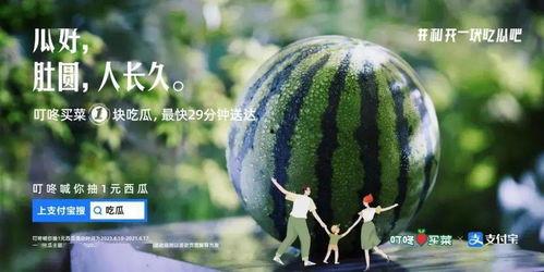 吃瓜圆圆,揭秘娱乐圈的甜蜜与苦涩